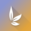 CURITY CheckIn APK