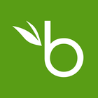BambooHR icône