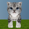 My Dear Kitty APK