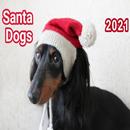 dog pictures with santa APK