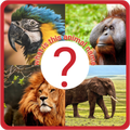 Guess The Animals Name Game - New Cool Game 2020