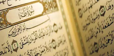 اقرأ القرآن | Read Quran