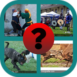 4 صور وكلمة واحدة 2019