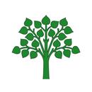 APK Trees Wallpapers Offline