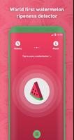 Melony screenshot 3