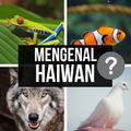 Mengenal Haiwan (60+ Haiwan)