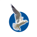 Dronacharya Spardha Pariksha M APK
