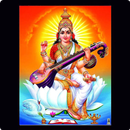 The Knowledge Point - Bhakura APK