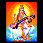 The Knowledge Point - Bhakura icon