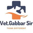 Vet. Gabbar Sir APK