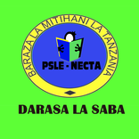 Form 6 NECTA Results 2023