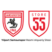 Store 55 图标