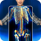 X Ray Scanner and Body Scanner simgesi