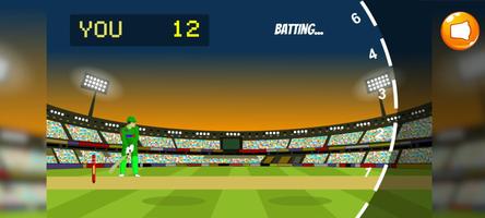 2D Cricket capture d'écran 1
