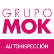 MOK Autoinspección ikona