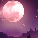 Moon Wallpaper APK