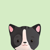 Virtual Cat APK
