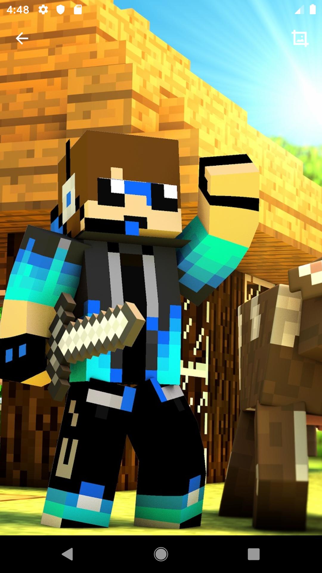 Minecraft Pro