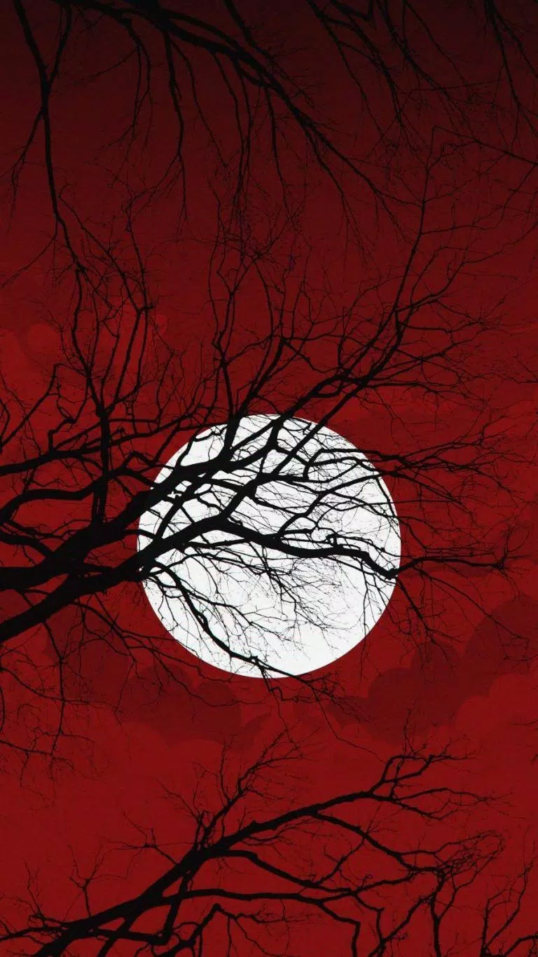 Moon Wallpaper HD APK for Android Download