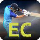 Epic Cricket - Big League Game APK