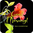 Icona Good Morning Cute Greeting Cards