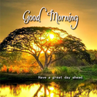 Good Morning Greeting eCards & Motivational Quote 아이콘