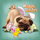 Happy Easter Cute Wishes Cards APK