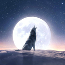 Moonovel-Werewolf Romance APK