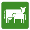 ikon Moocall Breed Manager