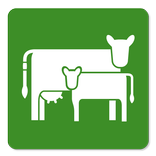 Moocall Breed Manager