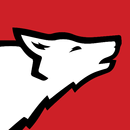 NC State Moodle APK