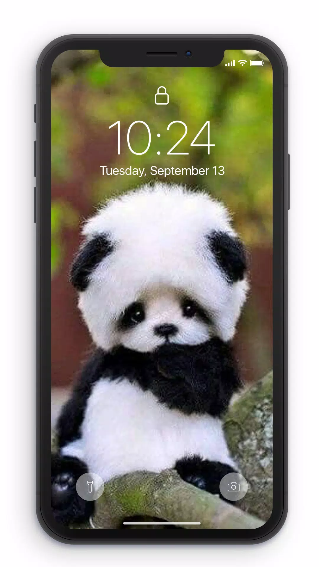Tải xuống APK Baby Panda Cute Wallpaper Care cho Android