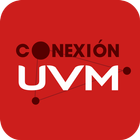 Conexión UVM-icoon