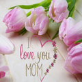 Mother's Day Gift