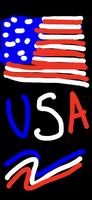 USA Draw اسکرین شاٹ 1