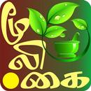 Mooligaikadai - மூலிகை கடை APK