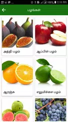 download Siddha Maruthuvam Mooligai Her XAPK