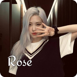 Rose Blackpink wallpaper