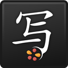 Chinese Writer for Educators-icoon