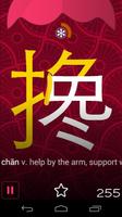 Chinese Writer постер