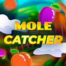 Mole Catcher APK