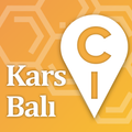 Kars Balı