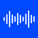 Sprachtranskribierer in text APK