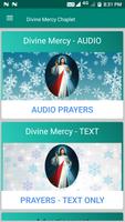 Divine Mercy Chaplet Ekran Görüntüsü 1