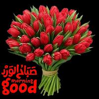 خلفيات الصباح وبطاقات مسائية Plakat