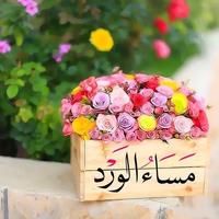 خلفيات الصباح وبطاقات مسائية Screenshot 2