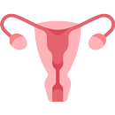 Mommi - Mobile Menstruation Monitoring APK