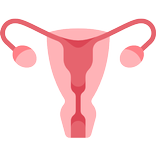 Mommi - Mobile Menstruation Monitoring