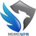 MOMO VPN