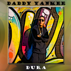 Daddy Yankee icône